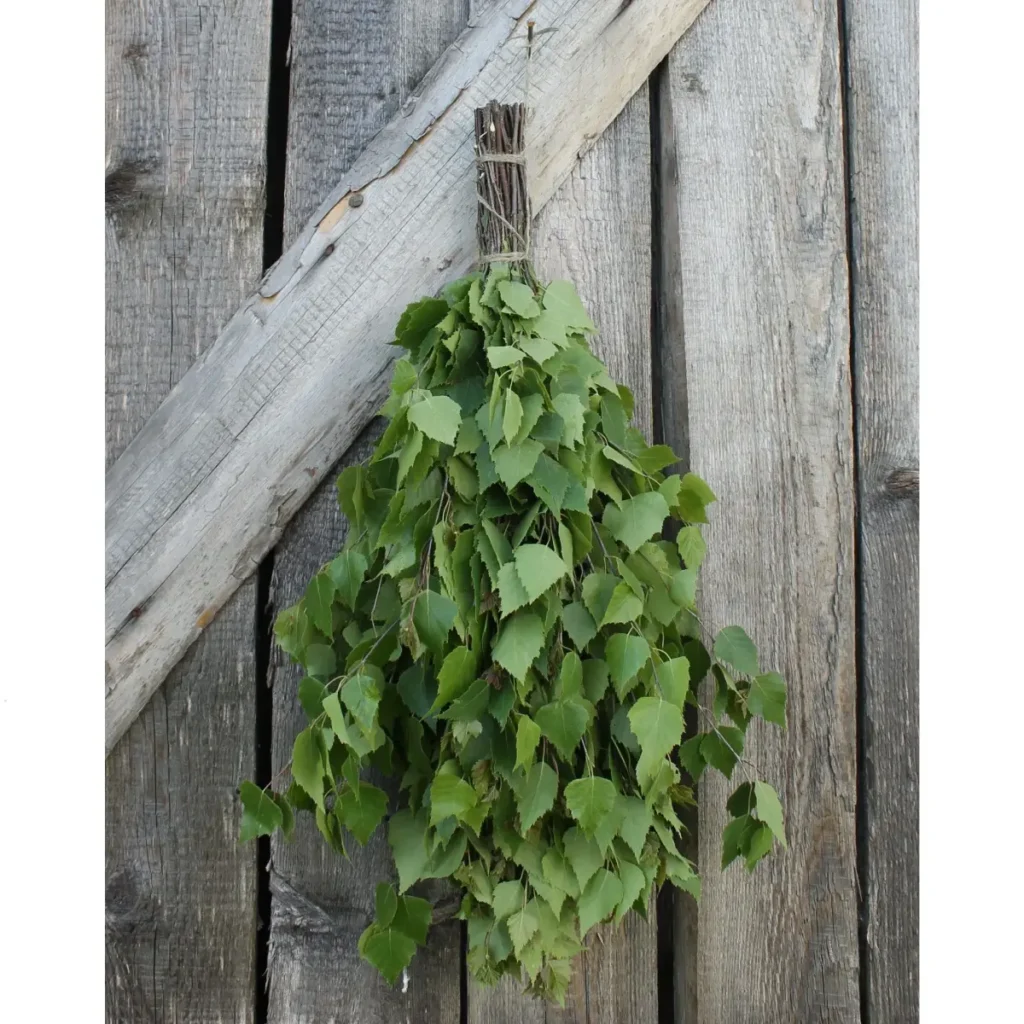 Birch Sauna Whisk