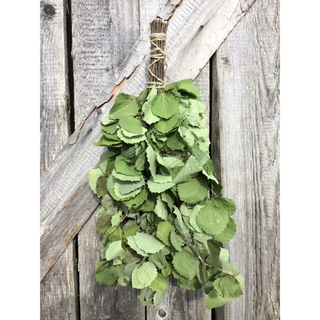 Aspen Sauna Whisk