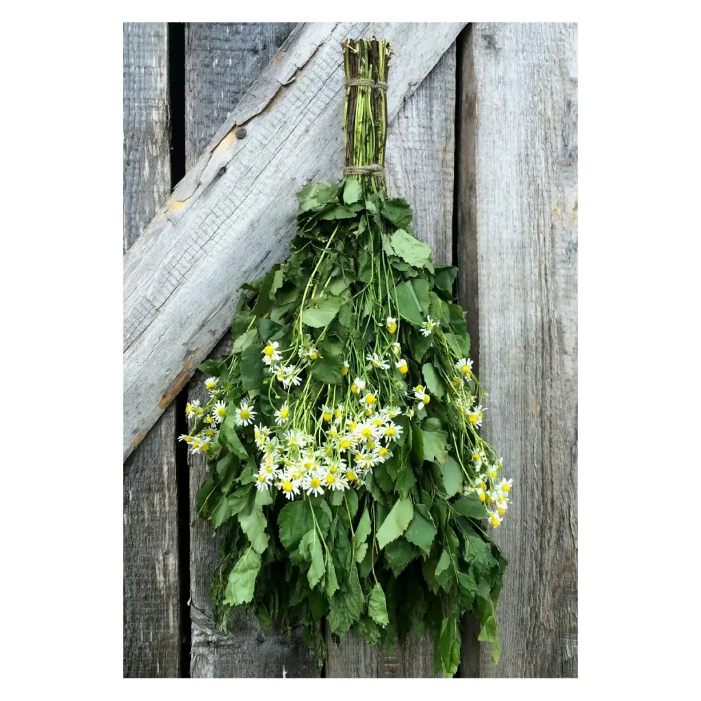 Birch Chamomile Sauna Whisk