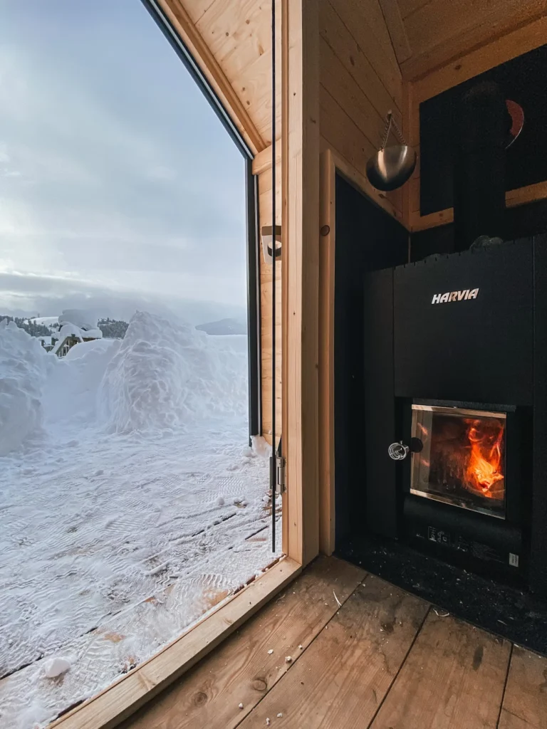 Harvia wood burning stove linear