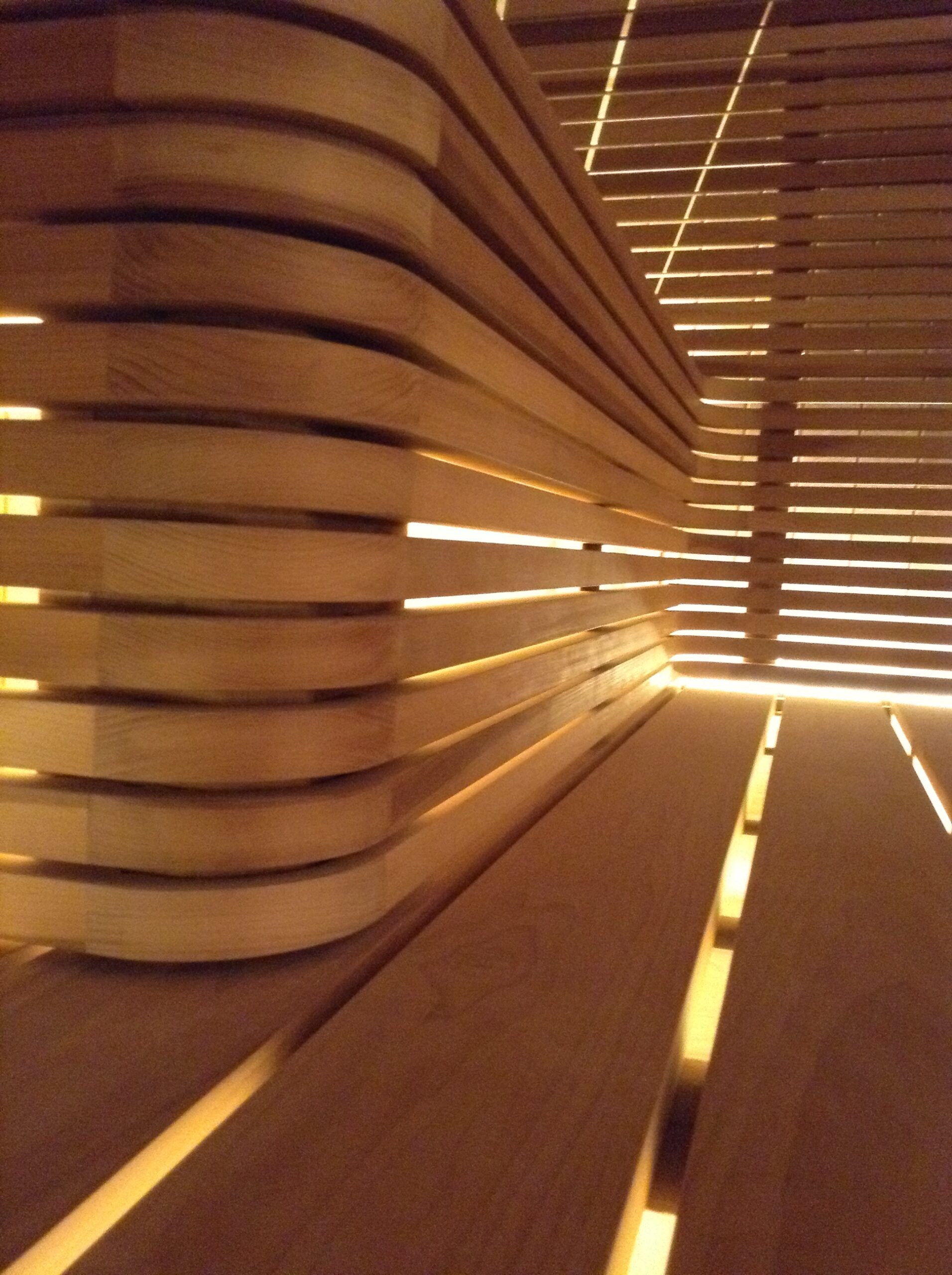 Sauna Project 35
